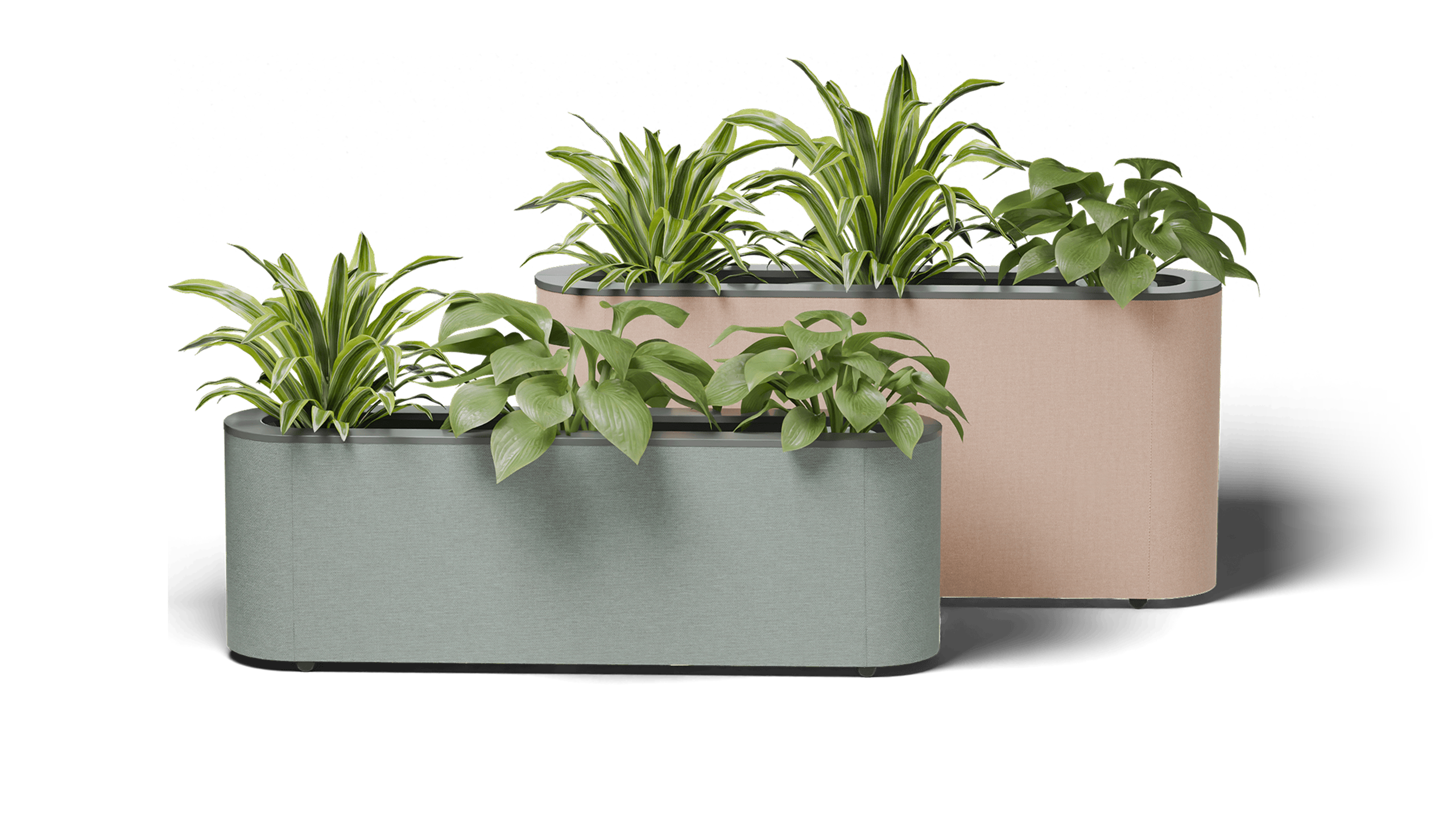 Product Main Image - SPROUT